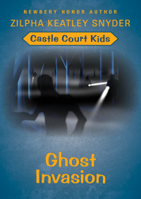 Cover image: Ghost Invasion 9781480471610
