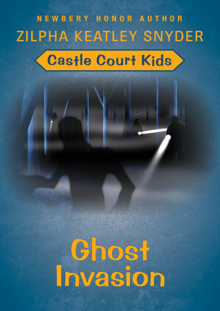 表紙画像: Ghost Invasion 9781480471610