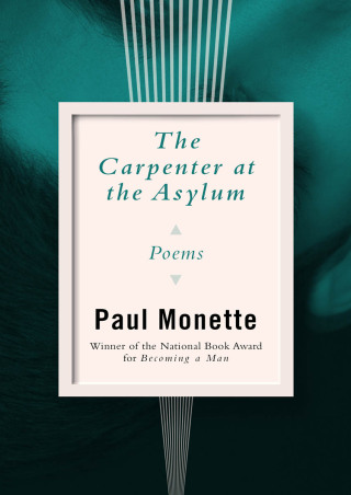 Cover image: The Carpenter at the Asylum 9781480473775