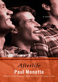 Cover image: Afterlife 9781480473836