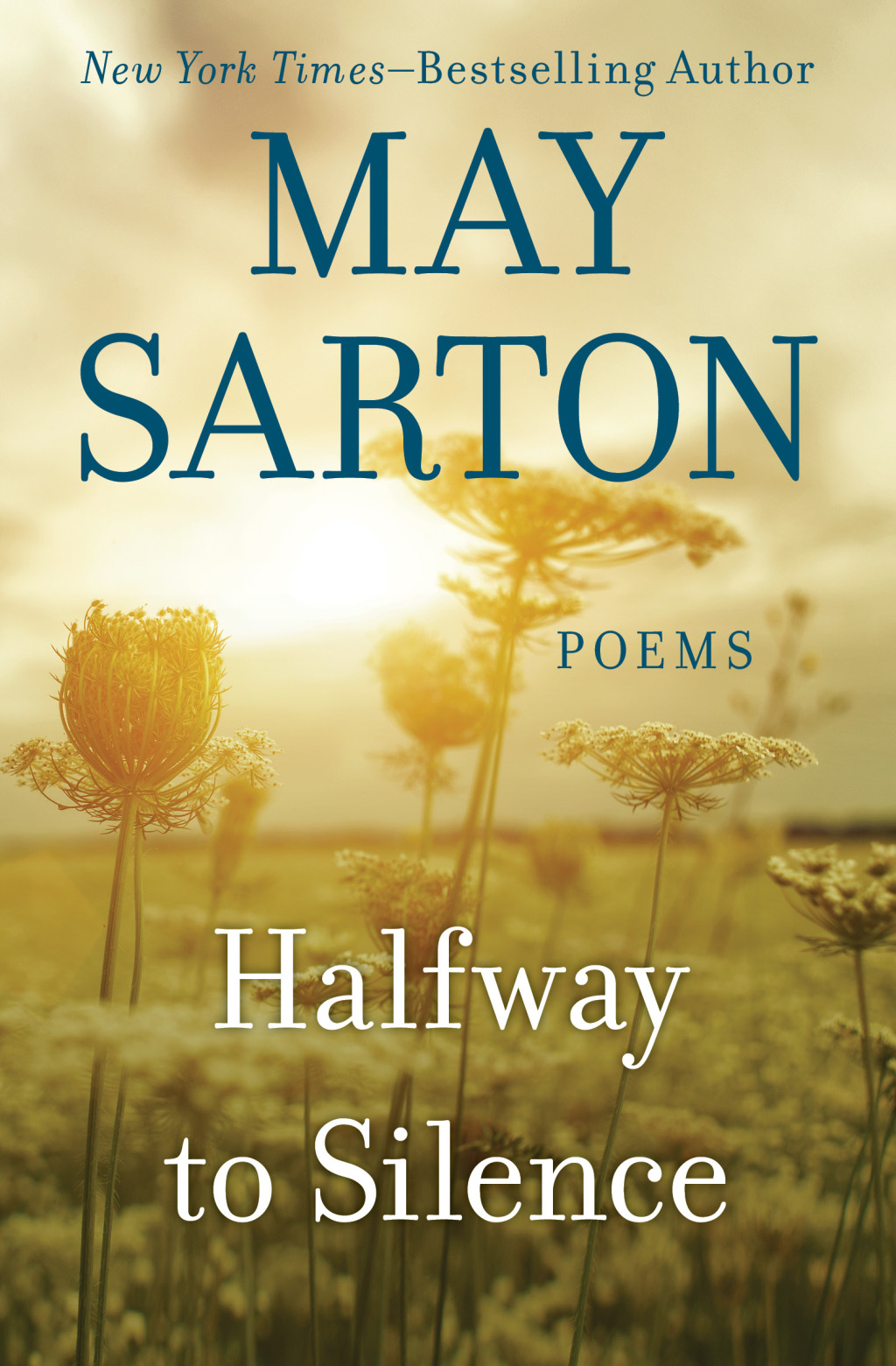 Halfway to Silence Poems