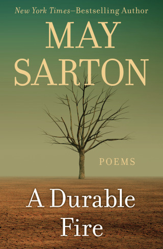 Imagen de portada: A Durable Fire 9781480474352