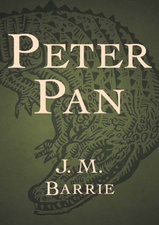 Cover image: Peter Pan 9781480476943