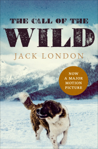 Cover image: The Call of the Wild 9781480477018