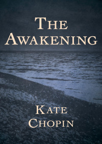 Cover image: The Awakening 9781480477025