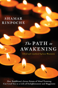 Immagine di copertina: The Path to Awakening 9781883285593