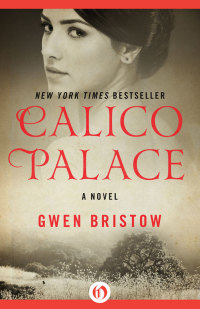 Cover image: Calico Palace 9781480485105