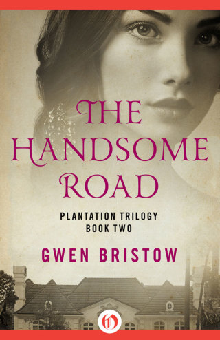 Cover image: The Handsome Road 9781480485167