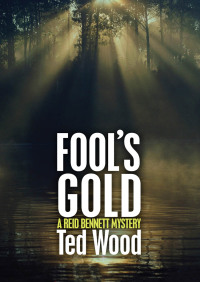 Imagen de portada: Fool's Gold 9781497642034