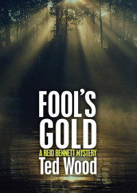 Omslagafbeelding: Fool's Gold 9781497642034