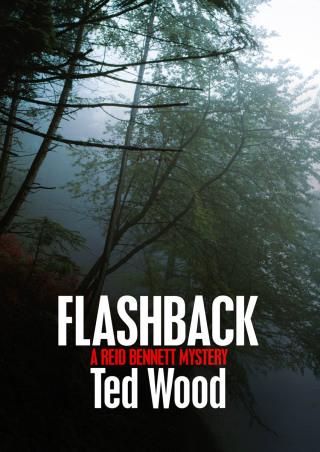 Imagen de portada: Flashback 9781497642027