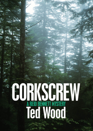 Imagen de portada: Corkscrew 9781497642003
