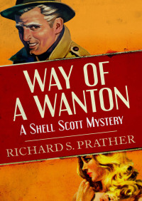 Cover image: Way of a Wanton 9781480498181