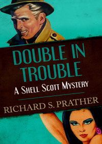 Cover image: Double in Trouble 9781480498907
