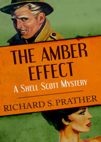 صورة الغلاف: The Amber Effect 9781480499232