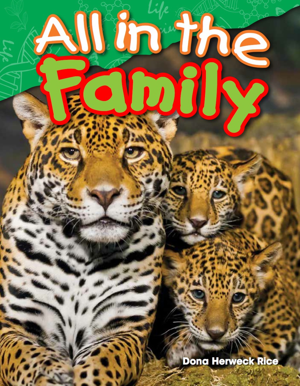 All in the Family 1st Edition