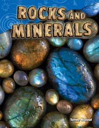 Cover image: Rocks and Minerals 1st edition 9781480746107