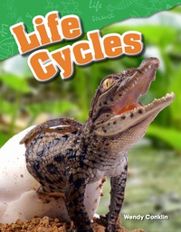 Cover image: Life Cycles 1st edition 9781480746374