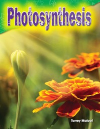 Cover image: Photosynthesis 1st edition 9781480746404
