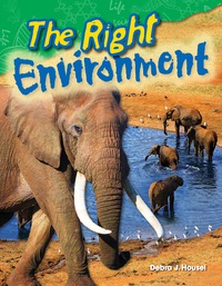 Cover image: The Right Environment 1st edition 9781480746411