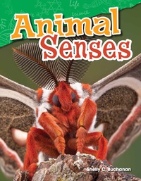 Cover image: Animal Senses 1st edition 9781480746787