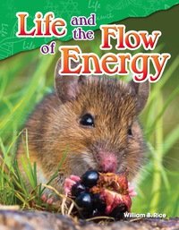 Cover image: Life and the Flow of Energy 1st edition 9781480747159