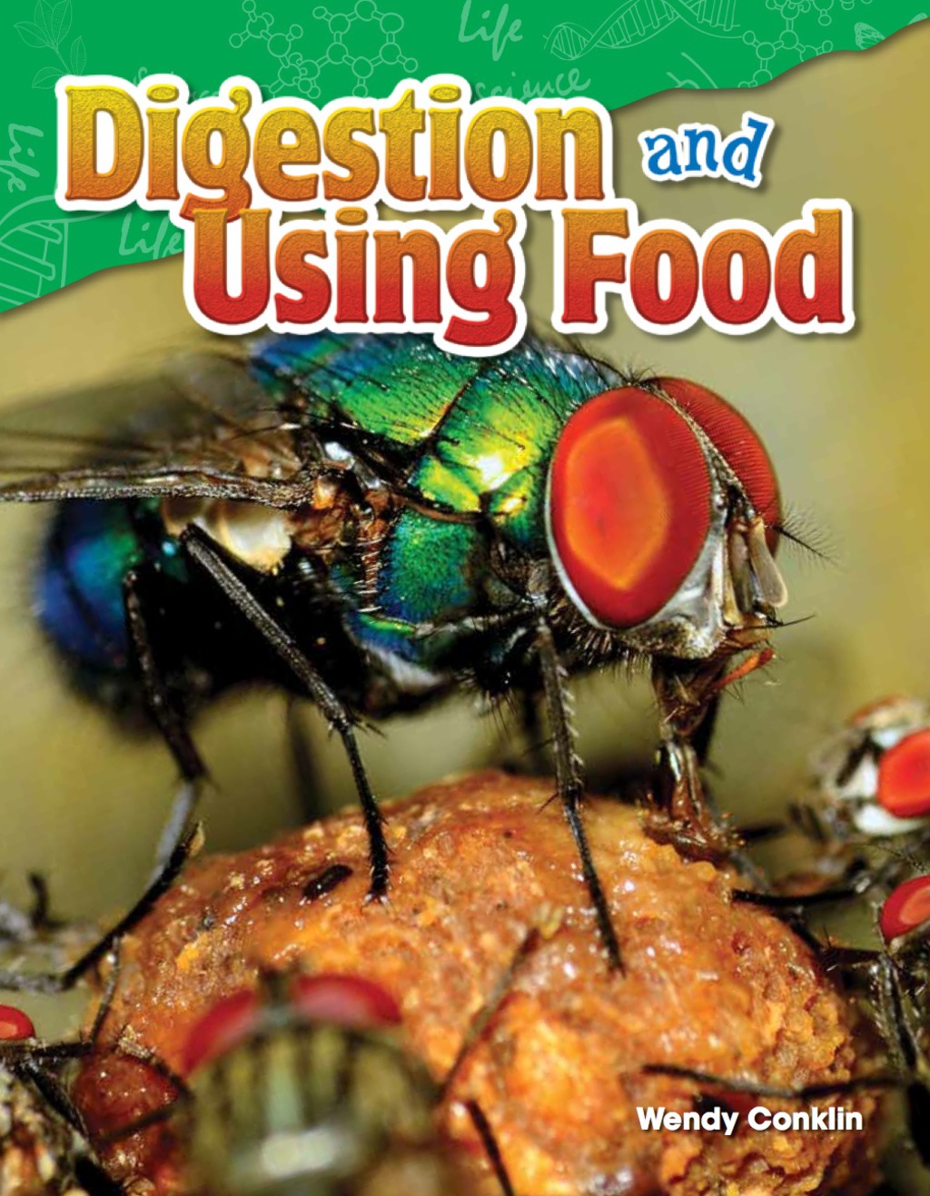 Digestion and Using Food 1st Edition