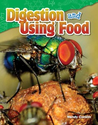 Cover image: Digestion and Using Food 1st edition 9781480747173