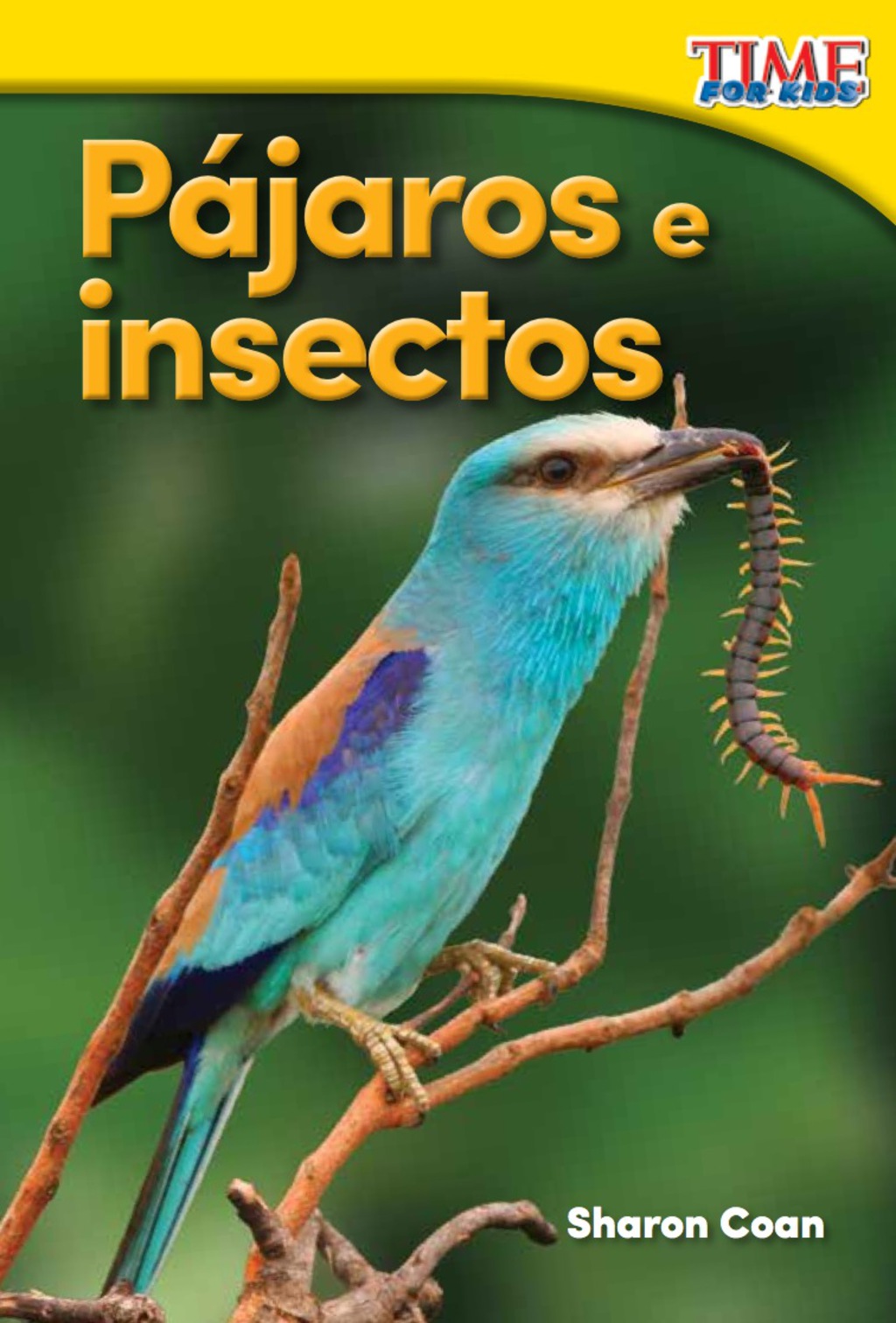 Pájaros e insectos (Birds and Bugs) 2nd Edition