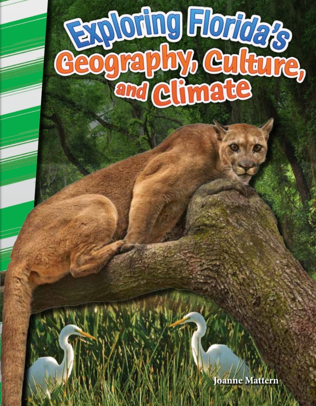 Exploring Florida’s Geography, Culture, and Climate ebook 1st Edition