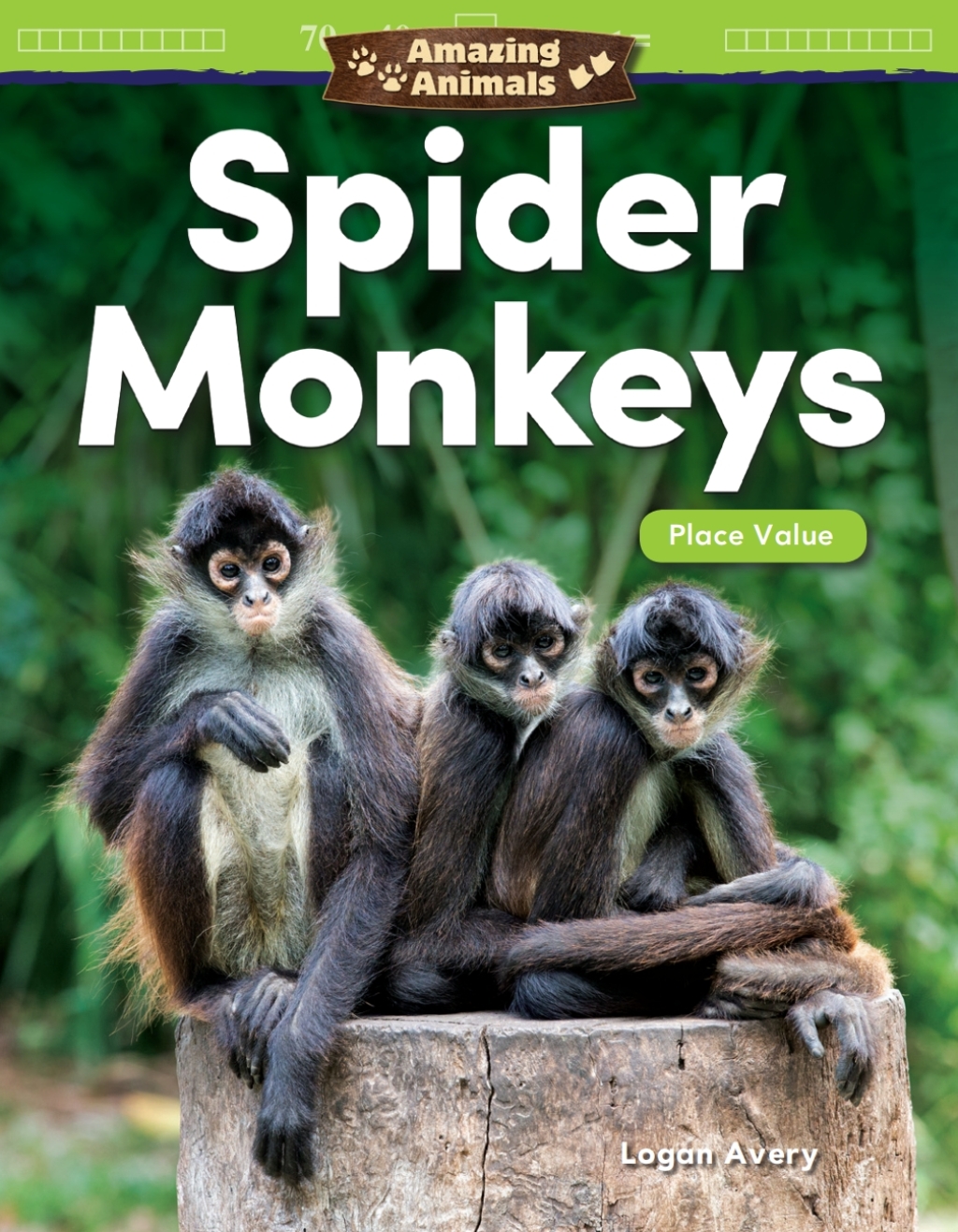 Amazing Animals: Spider Monkeys: Place Value ebook 1st Edition