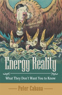 Titelbild: Energy Reality 9781480856103