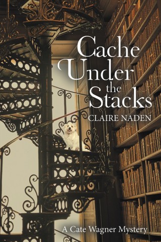 Imagen de portada: Cache Under the Stacks 9781480859159