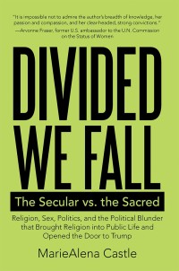 Cover image: Divided We Fall 9781480861329