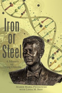 Cover image: Iron or Steel 9781480862159