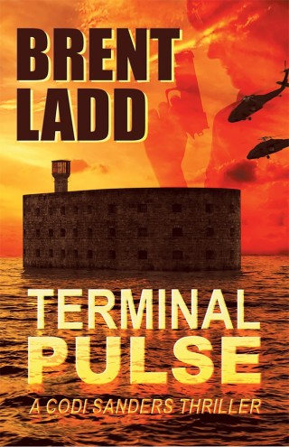 Imagen de portada: Terminal Pulse 9781480864184