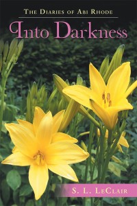 Cover image: The Diaries of Abi Rhode 9781480866157