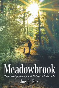 表紙画像: Meadowbrook 9781480869936