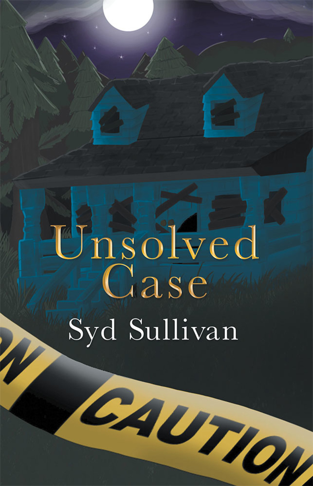 Unsolved Case (eBook)
