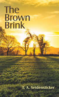 Cover image: The Brown Brink 9781480876125