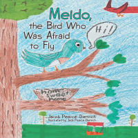 Omslagafbeelding: Meido, the Bird Who Was Afraid to Fly 9781480884120