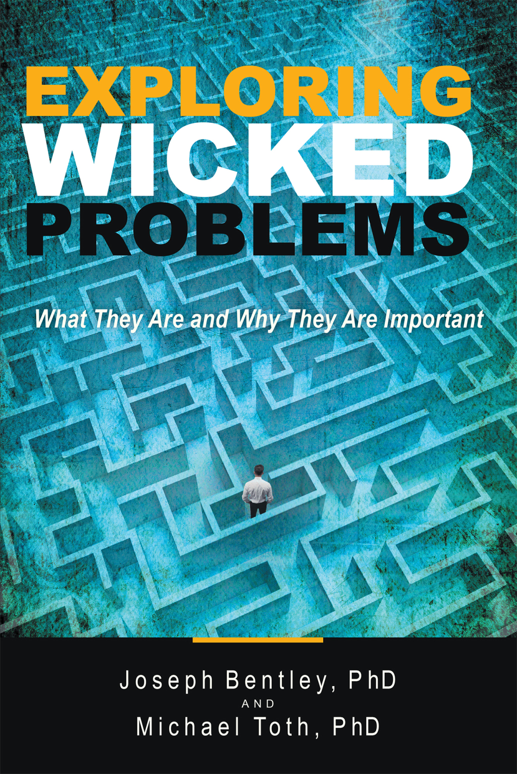 Exploring Wicked Problems (eBook)