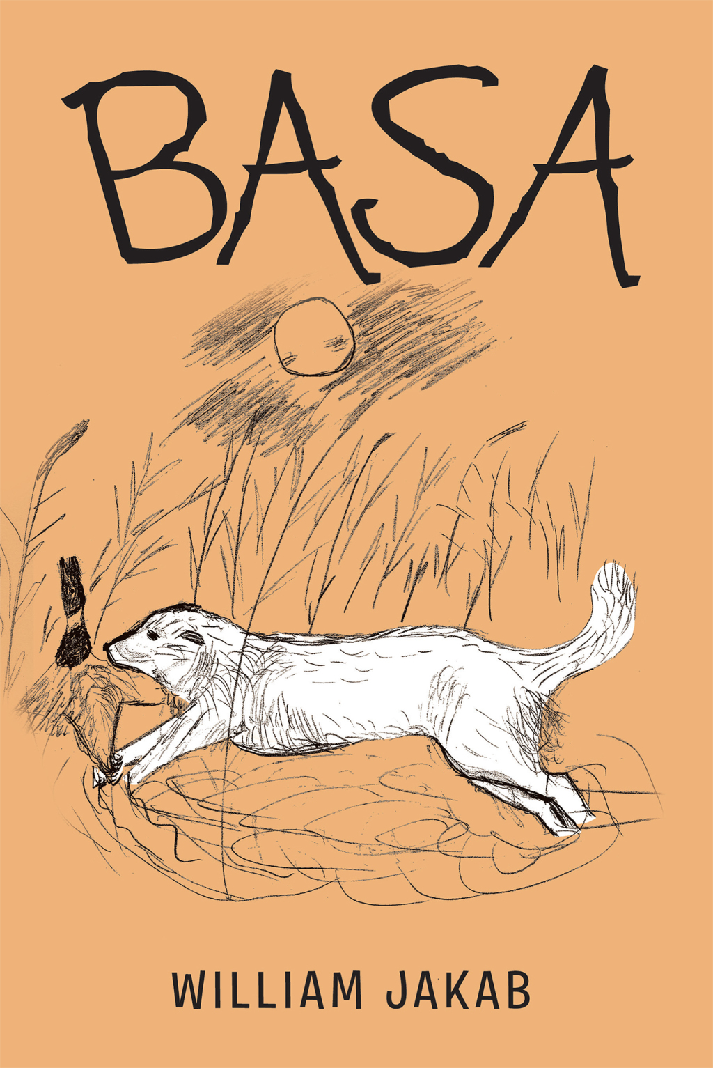 Basa (eBook)