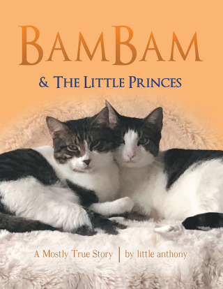 Cover image: BamBam & The Little Princes 9781480891111