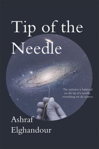 Cover image: Tip of the Needle 9781480898318