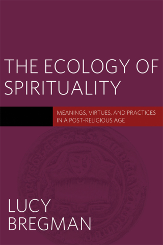 Cover image: The Ecology of Spirituality 9781602589674