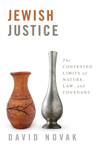 Cover image: Jewish Justice 9781481305297
