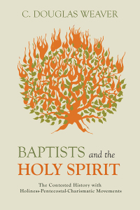 Imagen de portada: Baptists and the Holy Spirit 9781481310062