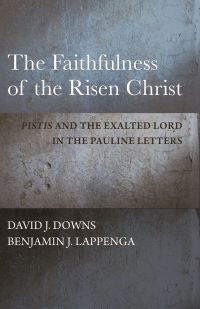 Imagen de portada: The Faithfulness of the Risen Christ 9781481310901