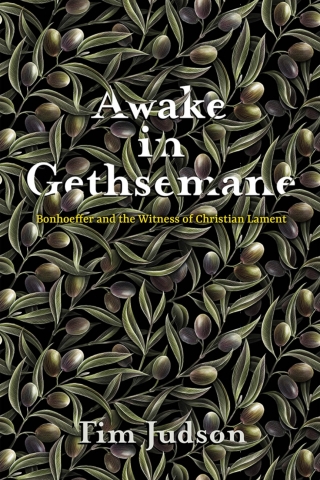 Cover image: Awake in Gethsemane 9781481318303
